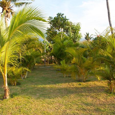 Bali Oase Resort Pemuteran  Exterior photo